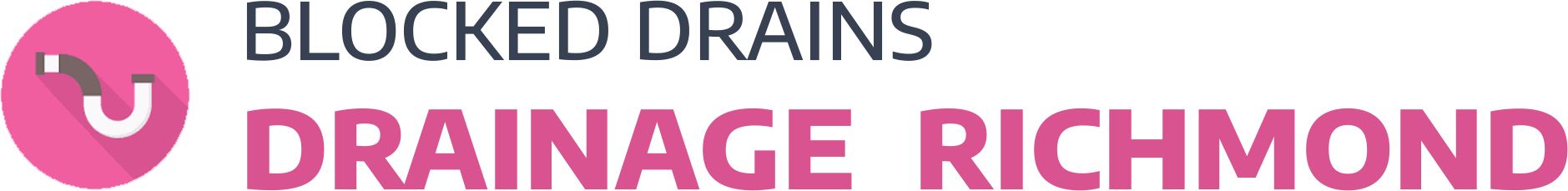 website logo